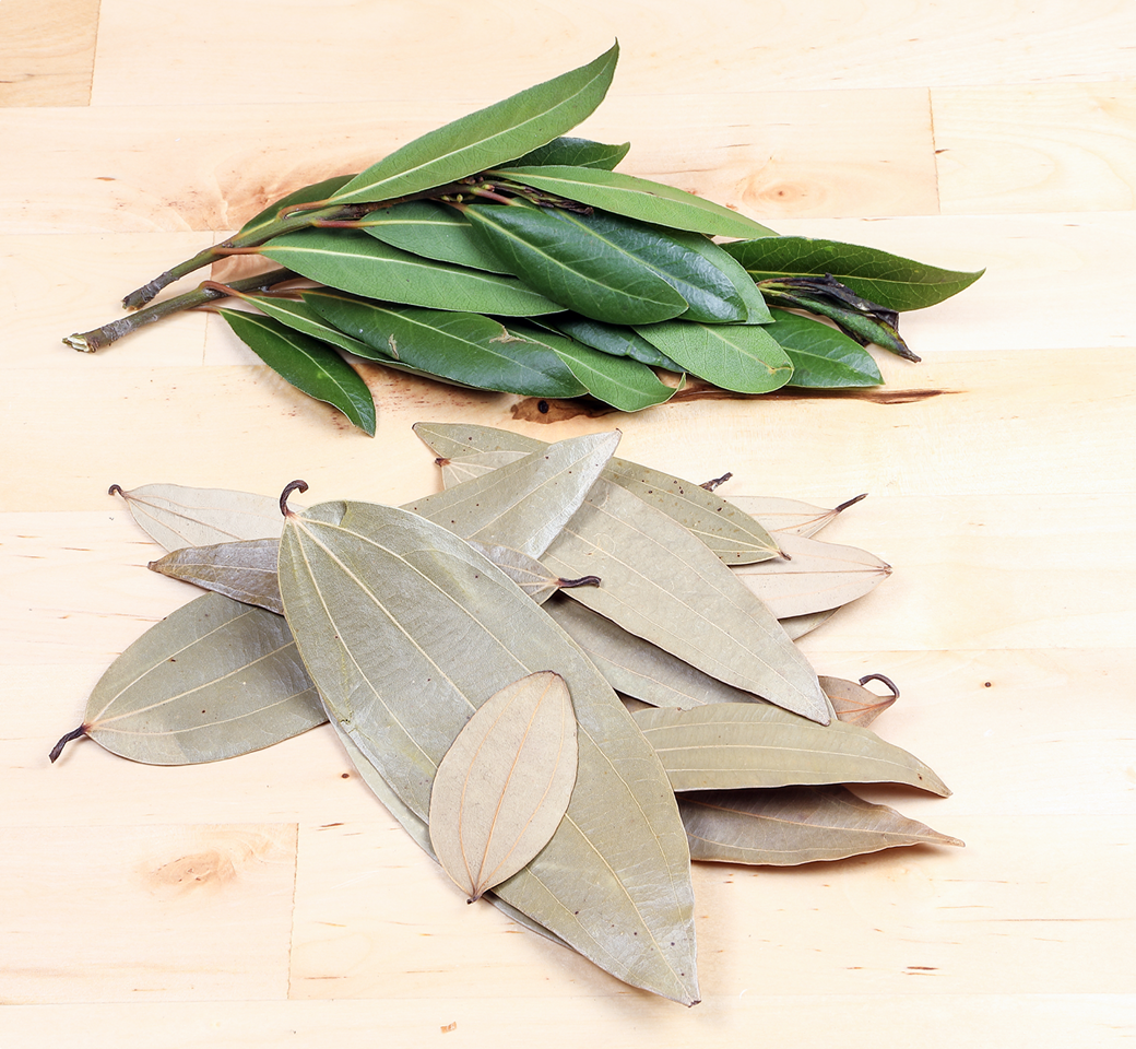 Bay Leaf