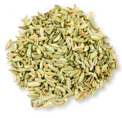 Fennel Seeds